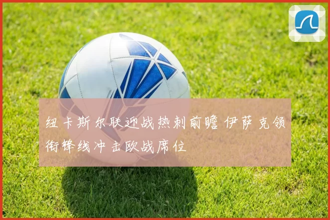 纽卡斯尔联迎战热刺前瞻 伊萨克领衔锋线冲击欧战席位